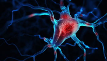 Chemotherapy Induced Peripheral Neuropathy