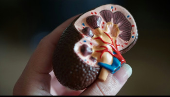 Prostate Cancer and the Nephrologist: An Update