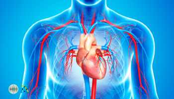 Perioperative Cardiac Optimisation