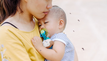 The challenges of malaria elimination in the Asia–Pacific region