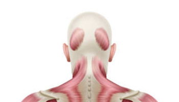 Injection Therapies for Lower Back Pain