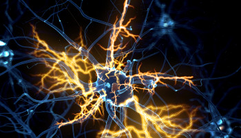 Motor Neurone Disease