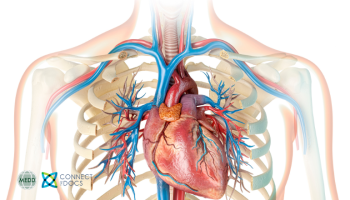 Heart Failure with Preserved Ejection Fraction (HFpEF) and Atrial Fibrillation