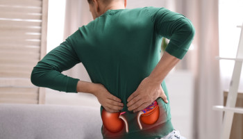 Re‐thinking kidney function: a new approach to kidney function