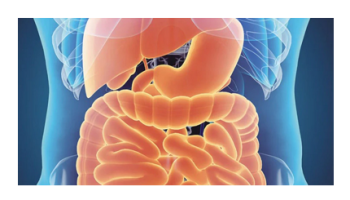 Gastrointestinal complaints