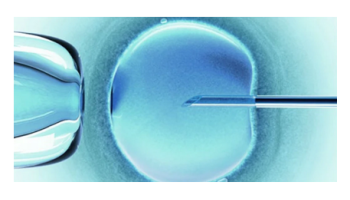 Women's Health - Infertility