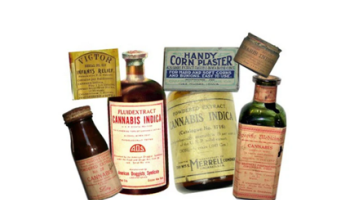 History of Cannabis and Medical Acceptance
