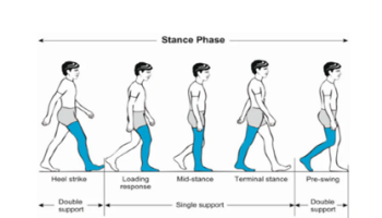 Physical and Biomechanical assessment of lower limb and gait problems
