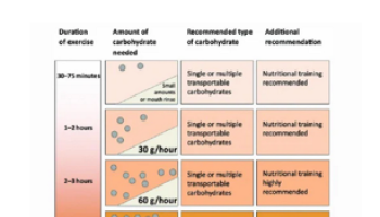 Nutrition for Sport and Musculoskeletal health