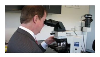 Dermoscopy and histopathology for clinical cases