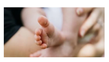 Pregnancy: Complete nutrition guide for fertility, pregnancy and lactation