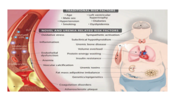 Nutrition in chronic kidney disease