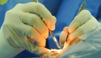 Skin Cancer Masterclass  - May 2026