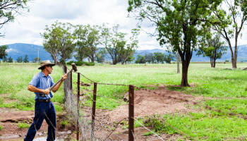 Building resilience to Australian flood disasters in the face of climate change