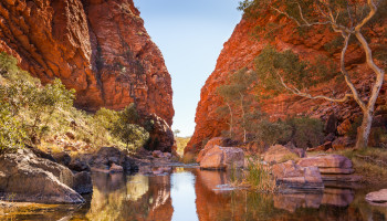 Improved life expectancy for Indigenous and non‐Indigenous people in the NT