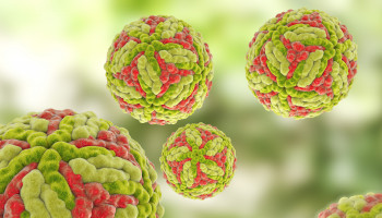 MJA Podcast: Japanese encephalitis virus