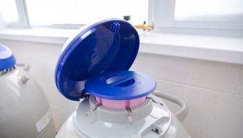 Fertility preservation guidelines for people with cancer