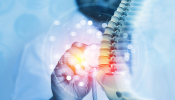 The role of spinal surgery in the treatment of low back pain