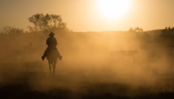 Upholding our rights in research