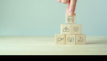 Feasibility of organ donation following voluntary assisted dying in Australia