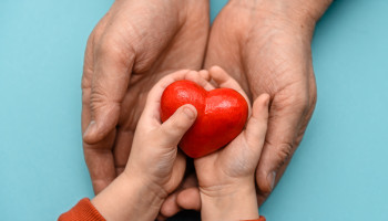 Organ donation by children in Australia, 2000–2019